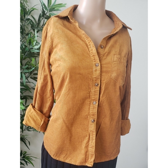 Golden yellow corduroy button down shirt - Picture 3 of 12